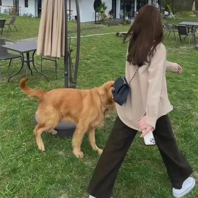 死亡约会